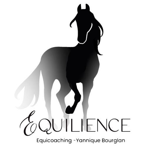 EQUILIENCE