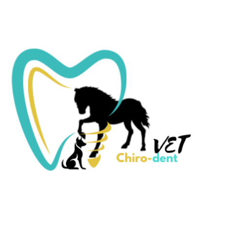 Mobile Tierarztpraxis Chirodent